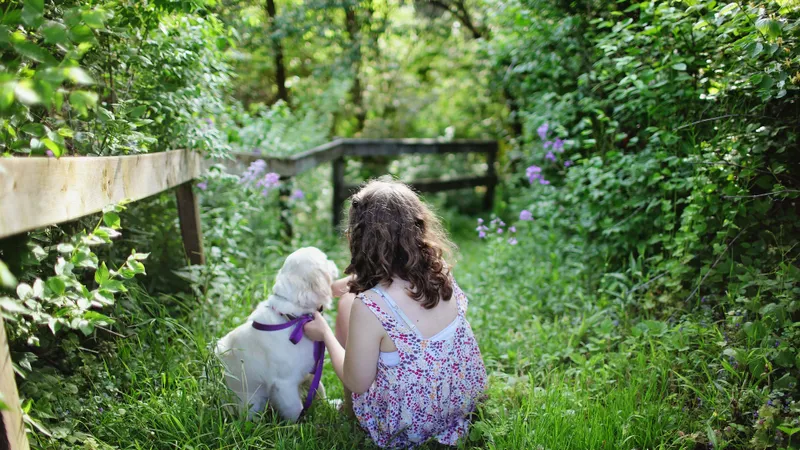 O fetiță dată dispărută e găsită, la 5 km, dormind lângă un câine într-o pădure - Foto: Pexels / Leah Kelly (Imagini cu rol explicativ)