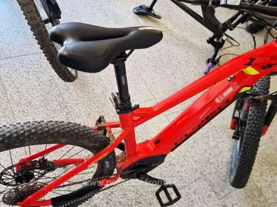 Bicicleta electrică - Foto: Poliția de Frontieră