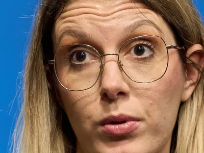 Diana Buzoianu, ministrul Mediului - Foto: Profimedia Images