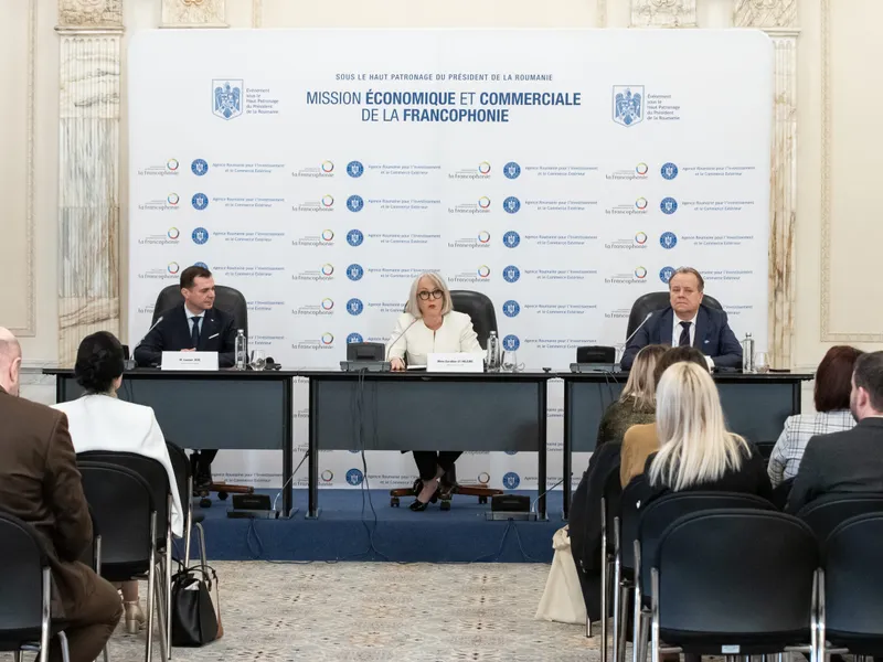 Ședință ARICE - Foto: gov.ro