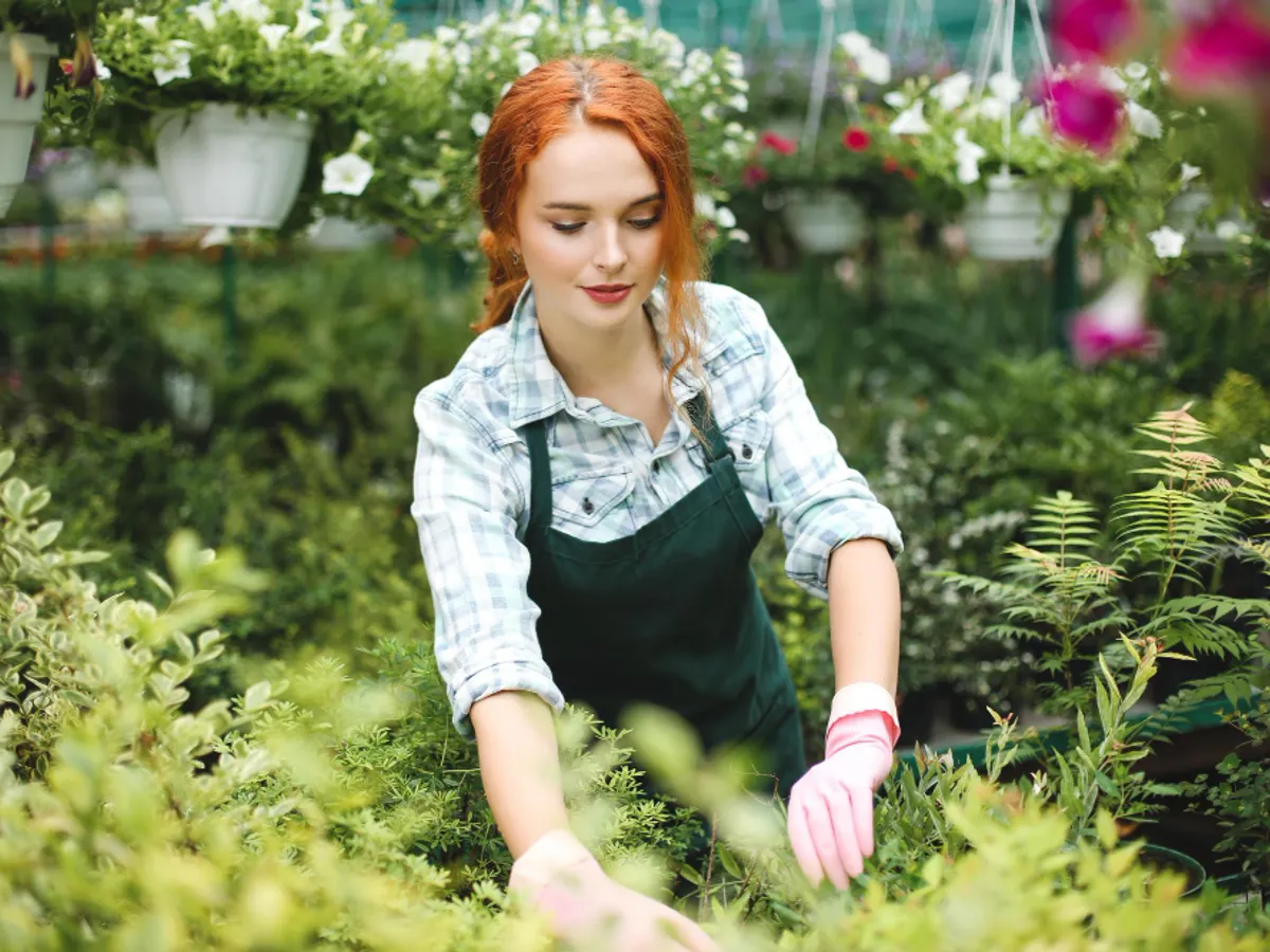 Flori în grădină - Foto: freepik (rol ilustrativ)
