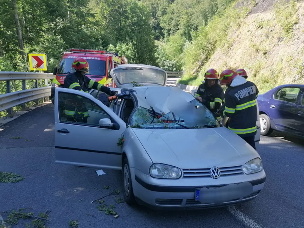 O creangă a căzut peste o mașină în mers și s-a înfipt în bazinul femeii care conducea Foto: ISU Crișana