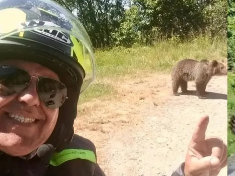 Turistul ucis de o ursoaică postase, cu o zi înaintea atacului, poze cu urşi pe marginea drumului - Foto: News.ro