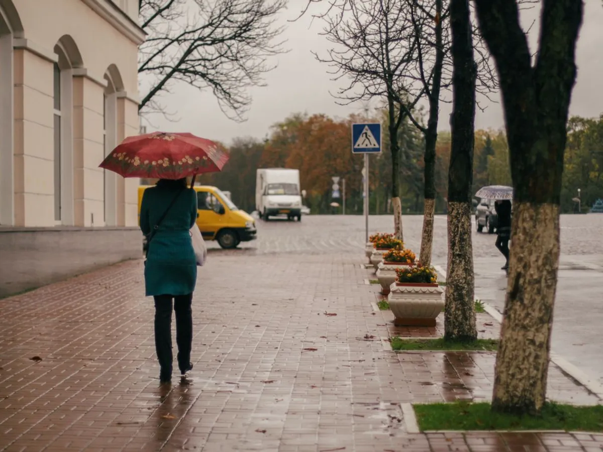 Ploaie Foto: PExels (imagine cu rol ilustrativ)