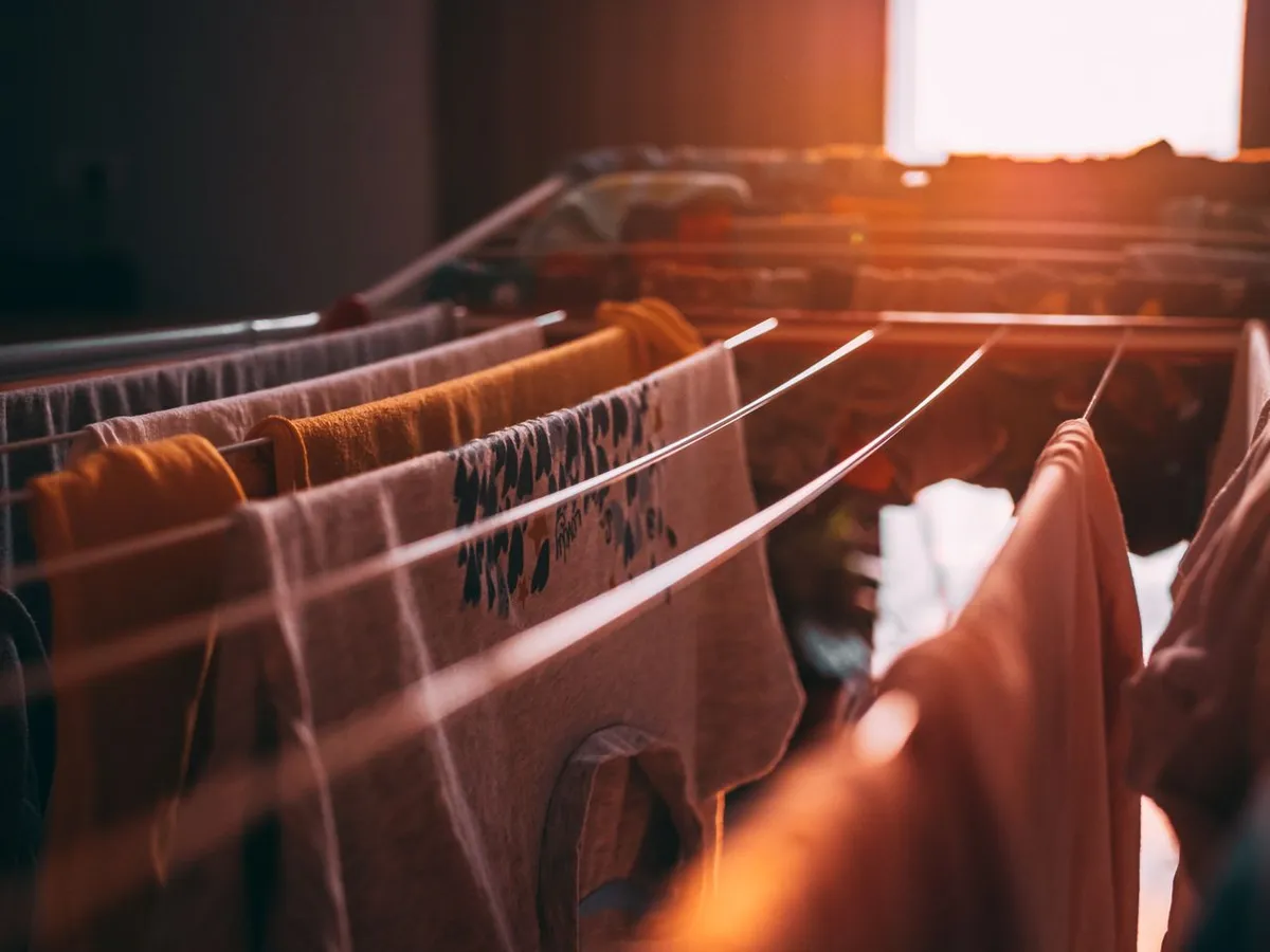 Rufe Foto: PExels (imagine cu rol ilustrativ)