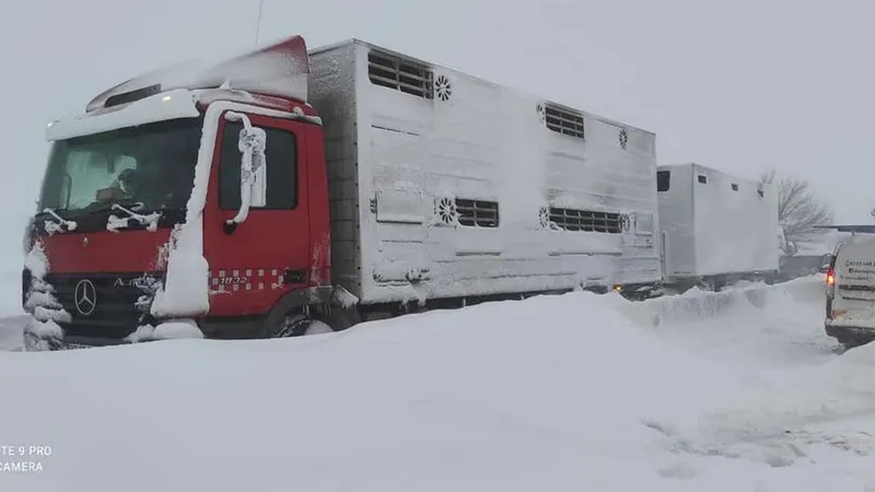 Troiene pe DN2 / Foto: Directia Regionala de Drumuri si Poduri Buzau