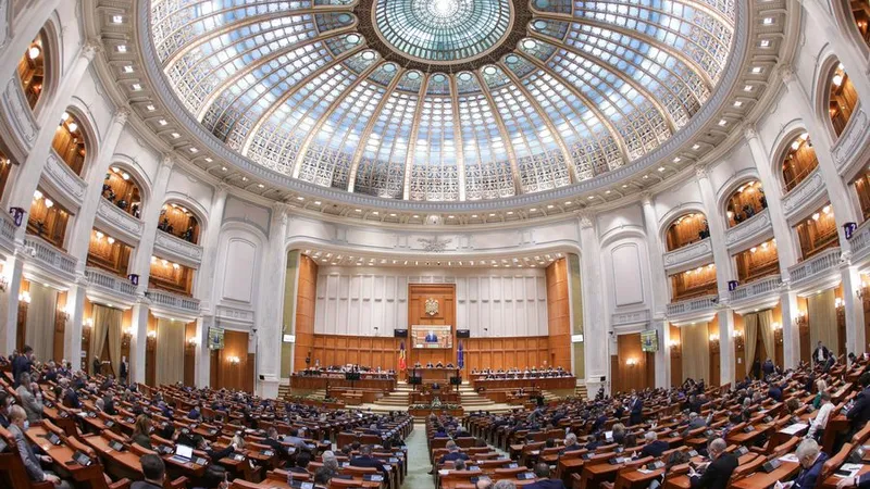 Plen Senat / Foto: Inquam Photos / Octav Ganea