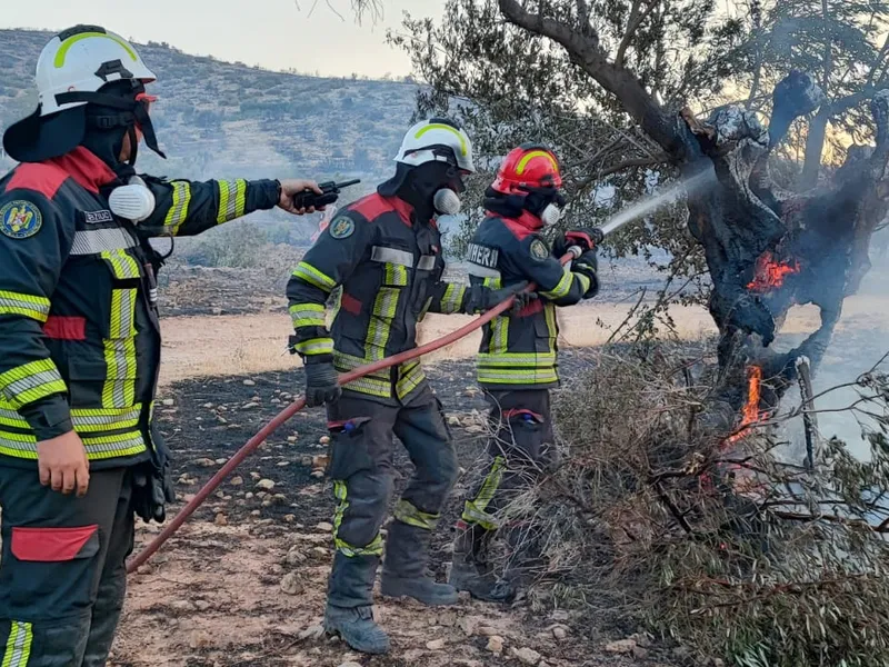 Incendiu în Grecia. Pompierii români, trimiși la intervenție - Foto: IGSU
