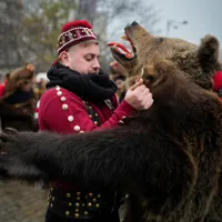 Ce semnifică tradiționalul "dans al urșilor" cu ciucuri roșii? Costumul de 45 de kg costă 2.000 euro - FOTO: Profimedia
