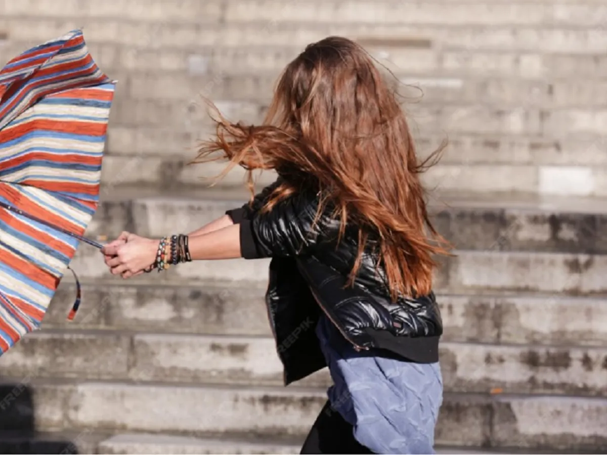 METEO Alertă de vânt puternic în mai multe zone din țară. Rafale de 110 km/oră. 16 județe afectate