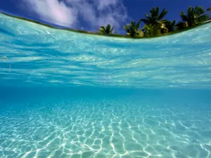 Un nou ocean începe să se formeze. Specialiștii au anunțat unde va apărea al șaselea ocean al Terrei - Foto: Profimedia images
