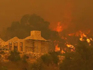 Incendii de vegetație în Australia/FOTO: Getty