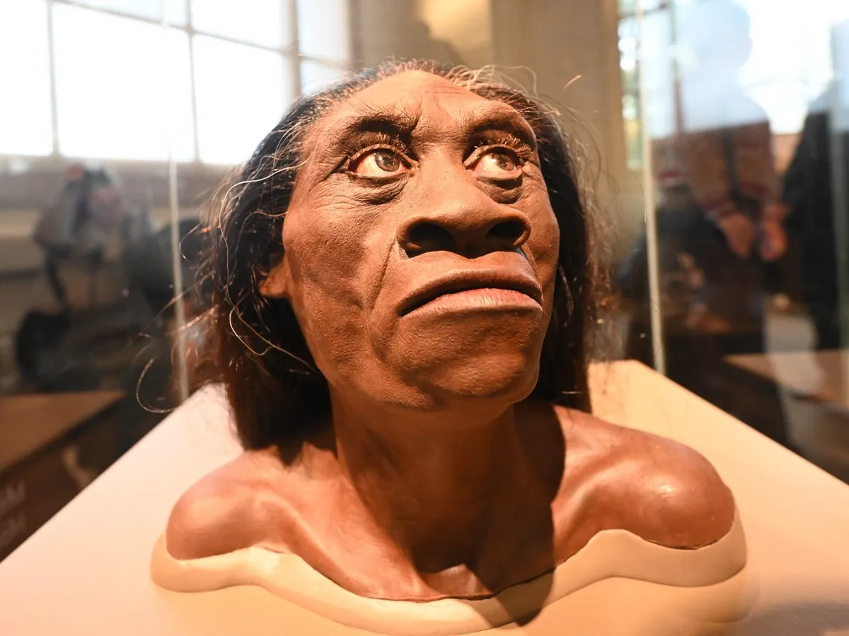 Neandertalienii au condus fabrici de scos grăsimea din oase, acum 125.000 de ani - Foto: Profimedia Images