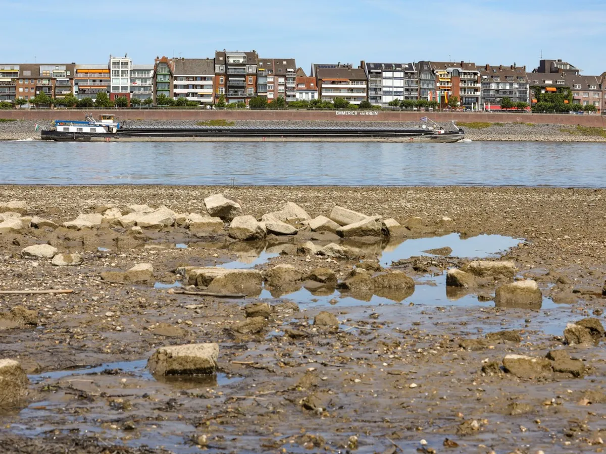 Seceta din Europa afectează transporturile și crește prețurile. Fluviul Rin, la cote minime - Foto: Profimedia Images