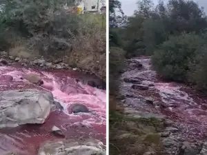 Fenomen straniu. Apa unui râu din România a devenit „sângerie” peste noapte - FOTO: Captura video