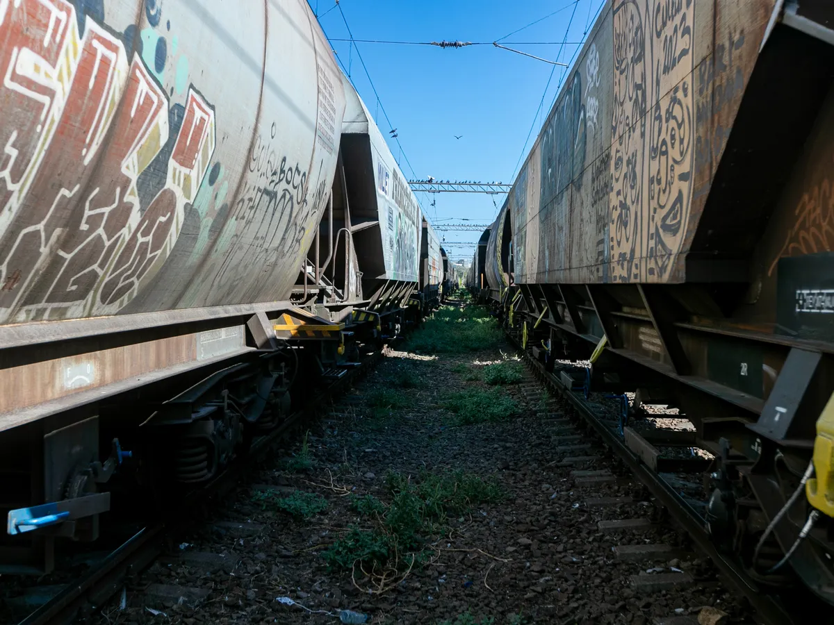 Marfare - FOTO  Inquam Photos / Virgil Simonescu