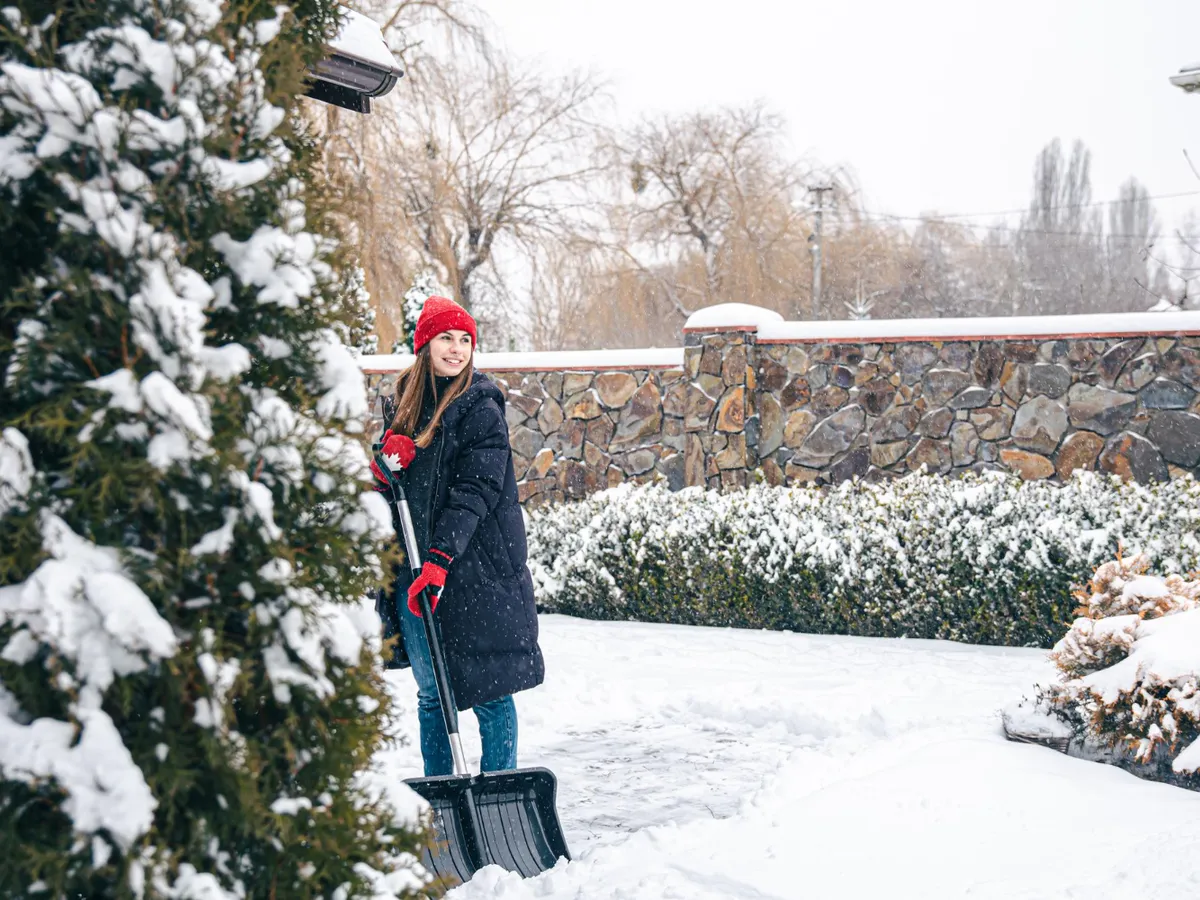 Cum să tunzi corect gazonul în luna decembrie. Se poate tunde iarba înghețată?