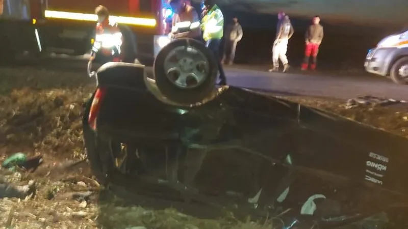 Doi migranți morți și zece răniți într-un grav accident în apropiere de Timișoara/foto: IPJ Timiș