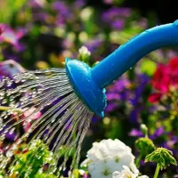Ingredientul din bucătărie pe care îl poți folosi în creșterea florilor din grădină - Foto: Profimedia / imagine cu caracter ilustrativ