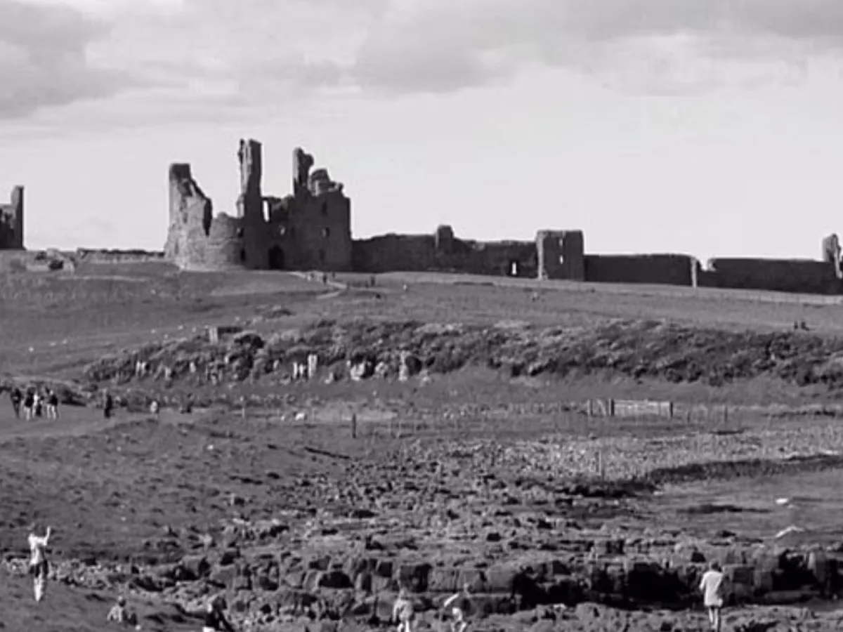 Imagine al-negru- Foto: Daily mail