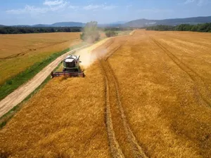 Ucraina cere Comisiei Europene revenirea la liberalizarea completă a importurilor de cereale în UE, imagine cu caracter ilustrativ - Foto: Arhivă