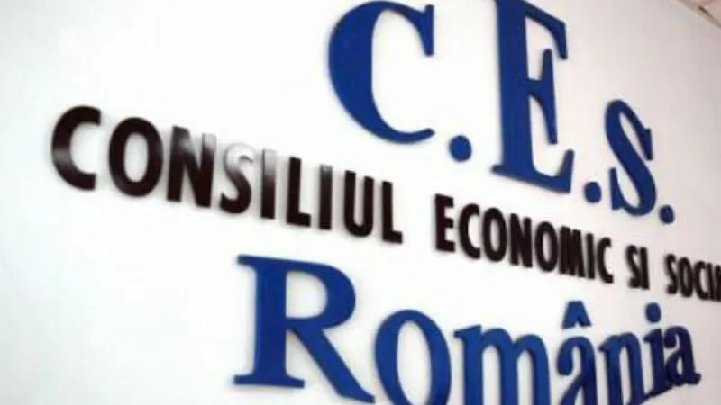 Consiliul Economic si Social. Sursa: Facebook