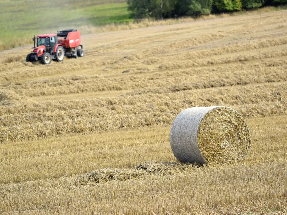 Teren agricol - Foto: Freepik