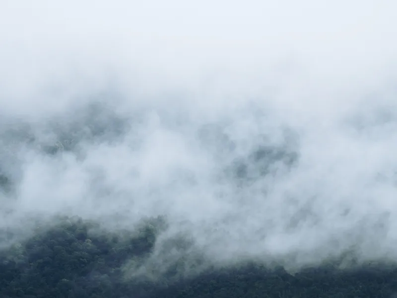 METEO Șoferii trebuie să fie atenți: cod galben de ceață pe 20 de județe din țară. Se circulă greu Foto: Freepik (fotografie cu caracter ilustrativ)