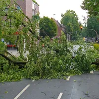 RO-ALERT în București: averse, ploi torențiale și intensificări ale vântului. Ce se întâmplă acum - Foto: Pixabay(imagine cu rol ilustrativ)