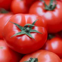 Roşii frumoase - Foto: Pexels/Valeria Boltneva (Imagine cu caracter ilustrativ)