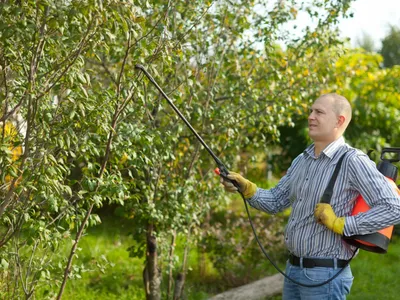 Cum poți stropi pomii dacă ai animale în curte? Ce să faci dacă au intrat în contact cu substanța - Foto: Freepik (Imagine cu rol ilustrativ)