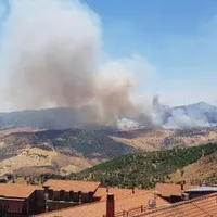 Sicilia a declarat stare de urgenţă din cauza incendiilor de vegetaţie. / Foto: Nello Musumeci. Facebook