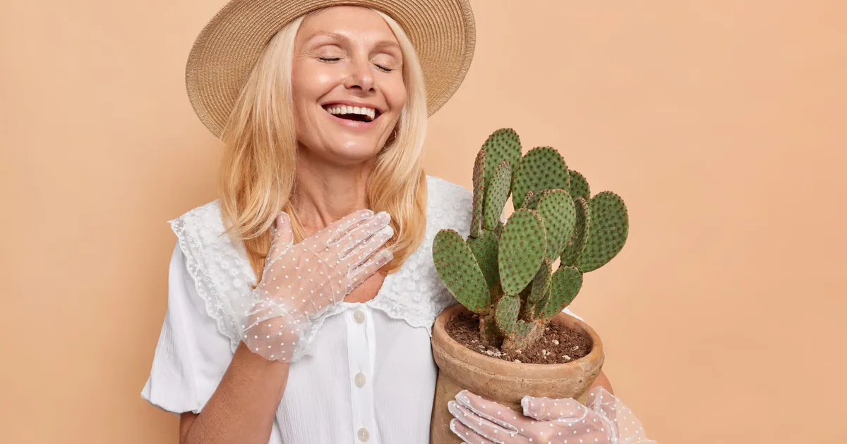 Plantele care aduc ghinion și nu trebuie să le ai în casă. Blochează energia pozitivă și atrag conflictele • Newsweek România