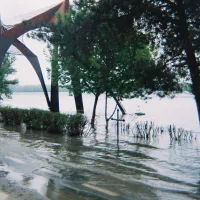 Se umflă Dunărea. Marele fluviu, peste mediile multianuale, în lunile ianuarie, februarie şi martie - Foto: Flickr
