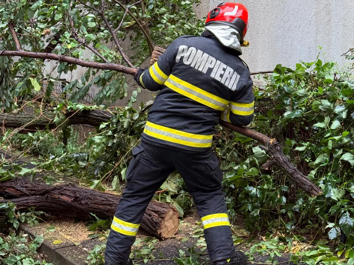 Un pompier intervine în cazul unui copac căzut în București - Foto: ISU B-IF
