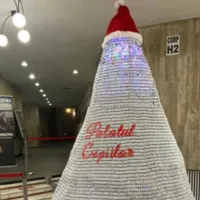 Arafat și Gheorghiță, despre scandalul bradului din doze de vaccin: amendă exagerată, risc zero. / Foto: stirileprotv.ro
