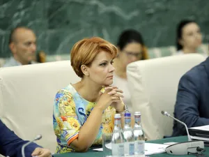 Olguța Vasilescu sare în apărarea lui Darius Vâlcov. Foto Inquam Photos/George Călin