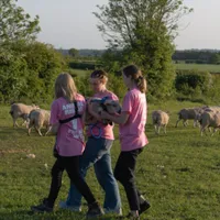 Trei activiste au furat trei miei de pe domeniul Sandringham, o proprietate deţinută de regele Charles al III-lea. Foto: Twitter/Animal Rising
