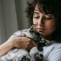 Un medic, cercetat pentru că a făcut o tomografie unei pisici - Foto: Pexels/Sam Lion (cu rol ilustrativ)