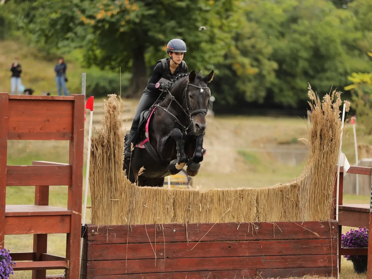 Karpatia Horse Show 2026 - Foto: Ștefan Stoica și Diana Grigoriu