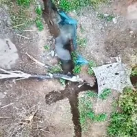 O dronă ucraineană a aruncat o bombă fix într-un tranșeu unde se ascundeau rușii. BOOM! /FOTO: Captura video/Twitter/Militarylandnet