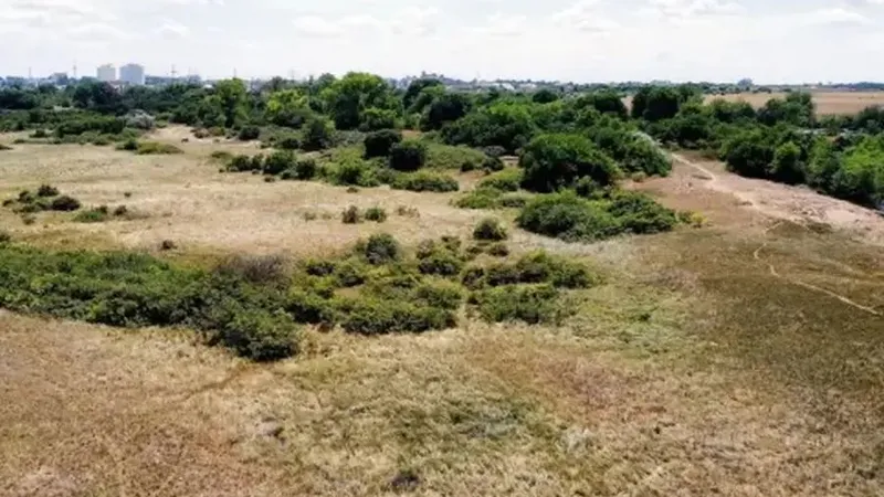 UAIC luptă pe mai multe fronturi cu „imobiliarii” de pe Litoral - Foto: ctnews.ro