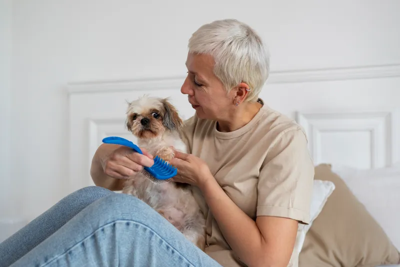 Pensionară cu un c&acirc;ine &icirc;n brațe - Foto: Magnific.com (Imagine cu rol ilustrativ)