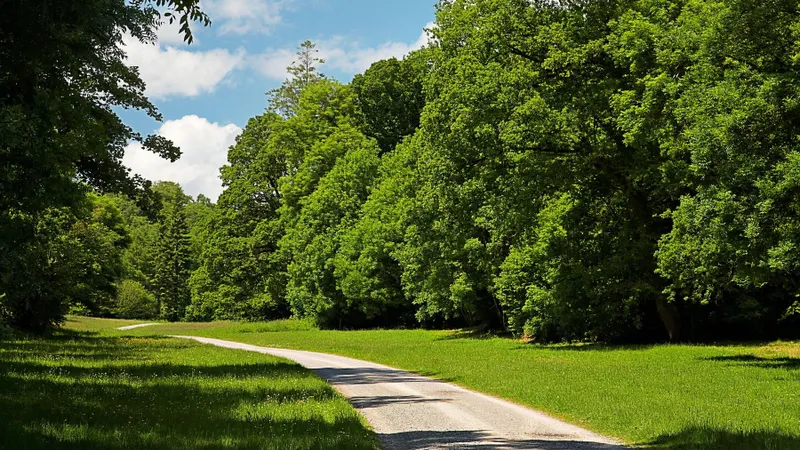Ce riscă persoanele care beau bere în parc. Cele prins au încercat să conteste amenda în instanță Foto: Profimedia Images (fotografie cu caracter ilustrativ)