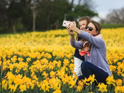 Foto: pexels.com