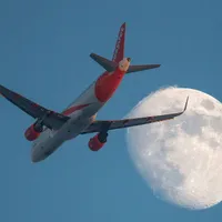 Românii ar putea să nu mai plătească pierderile Tarom. Care este piaţa aparte pe care intră compania - Foto: Profimedia Images