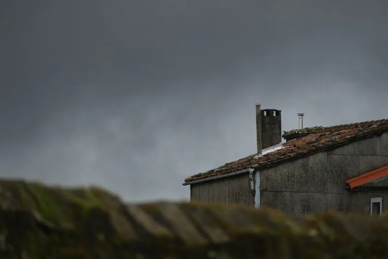 Coș de casă Foto: Pexels (imagine cu rol ilustrativ)