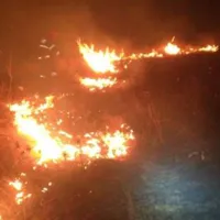 Incendiu puternic în Timiș! Ard 100 de hectare de vegetație uscată. Pompierii se luptă cu flăcările - Foto: ISU Timiș