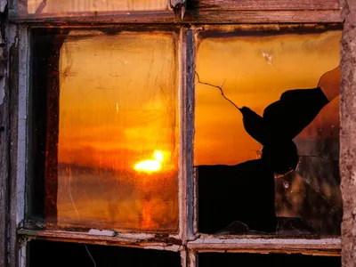 Adăpost Foto: Freepik (imagine cu rol ilustrativ)