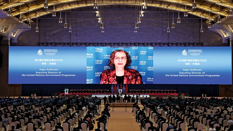 Inger Andersen, de la ONU, ține un discurs la conferința COP15 privind clima din China, în octombrie 2021